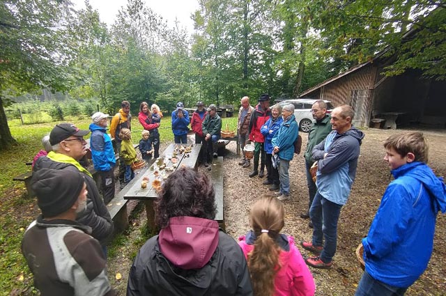 Die Teilnehmer bei der Pilzekursion des NV Ittenthal